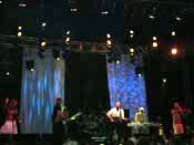 Steve Harley live on stage Glastonbury 2005