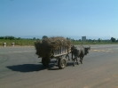 Steve's Cambodia 2003 Trek