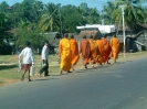 Steve's Cambodia 2003 Trek