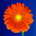 ziggystarstruck's Avatar
